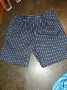 Scotch & Soda Navy and White Pinstripe Flat Front Shorts